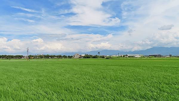 IMG_1205.JPG