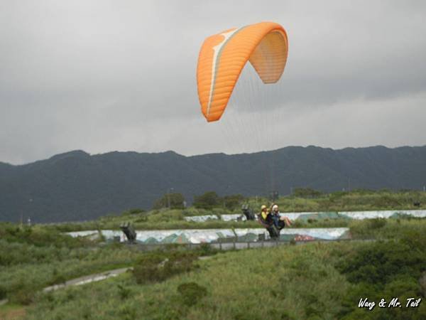 DSCN6082