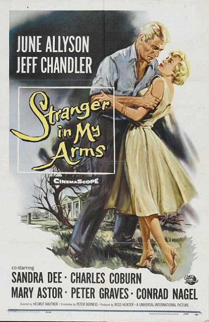 孤孀情淚 (A Stranger in My Arms)