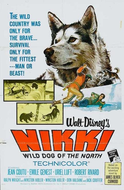 野灰王 (Nikki, Wild Dog of the North)