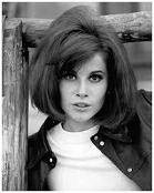 史蒂芬鮑華 (Stefanie Powers)