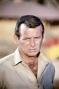 David Janssen -2