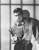 John Gavin -3