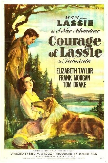 義犬歷險 (Courage of Lassie)