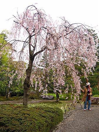 日本北陸行 304.JPG