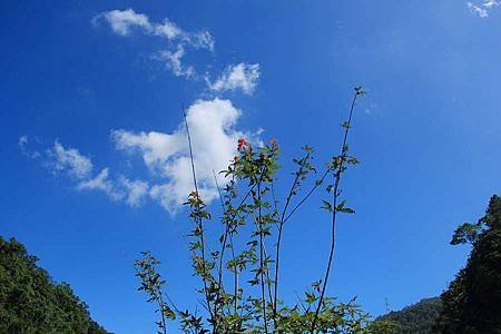 01-IMG_8245