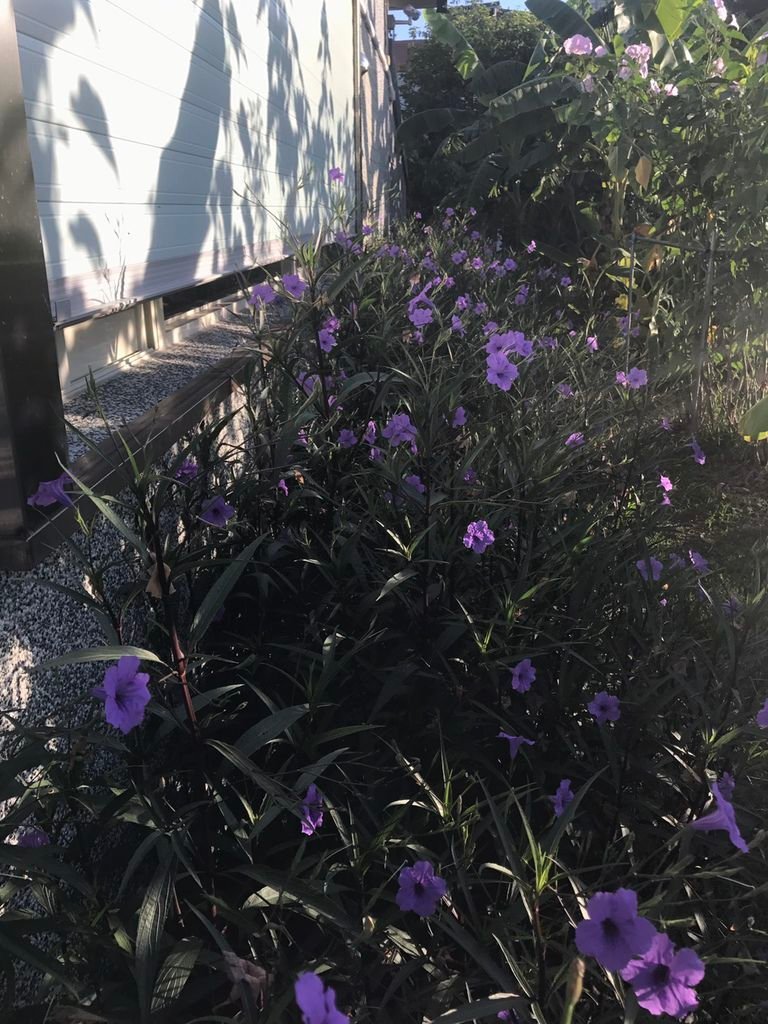 S__3506182.jpg