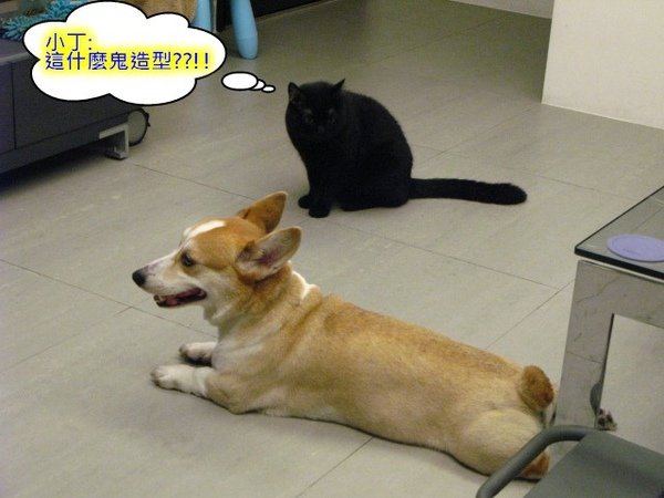 光溜溜