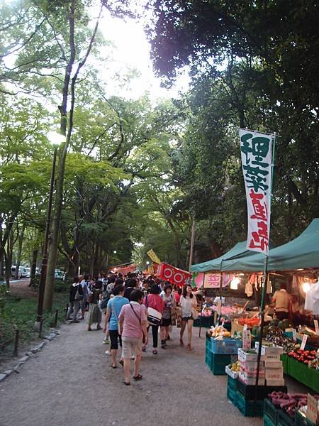 P7283075.JPG