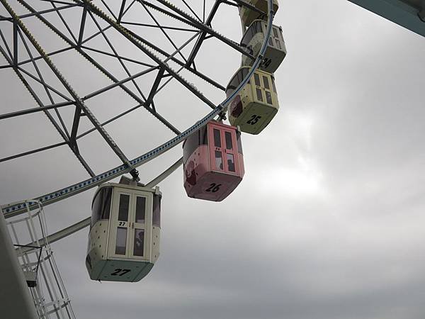 IMG_6242