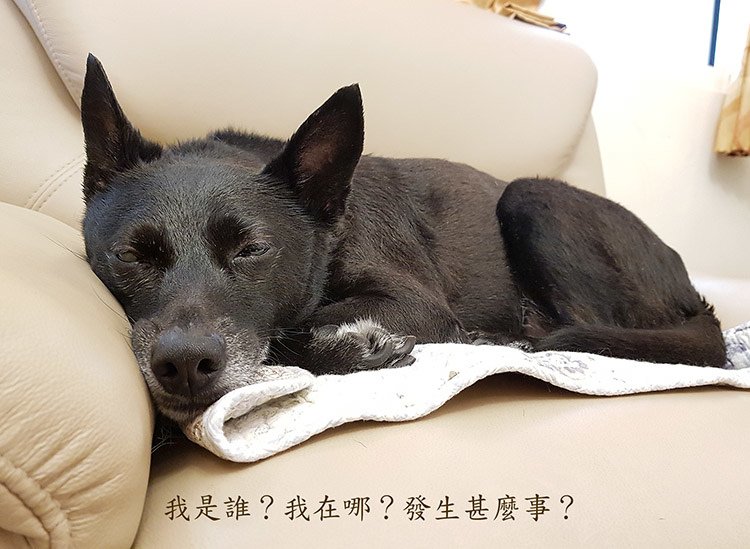 20190404_103548ss.jpg
