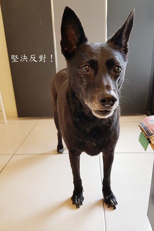 20190404_104422ss.jpg