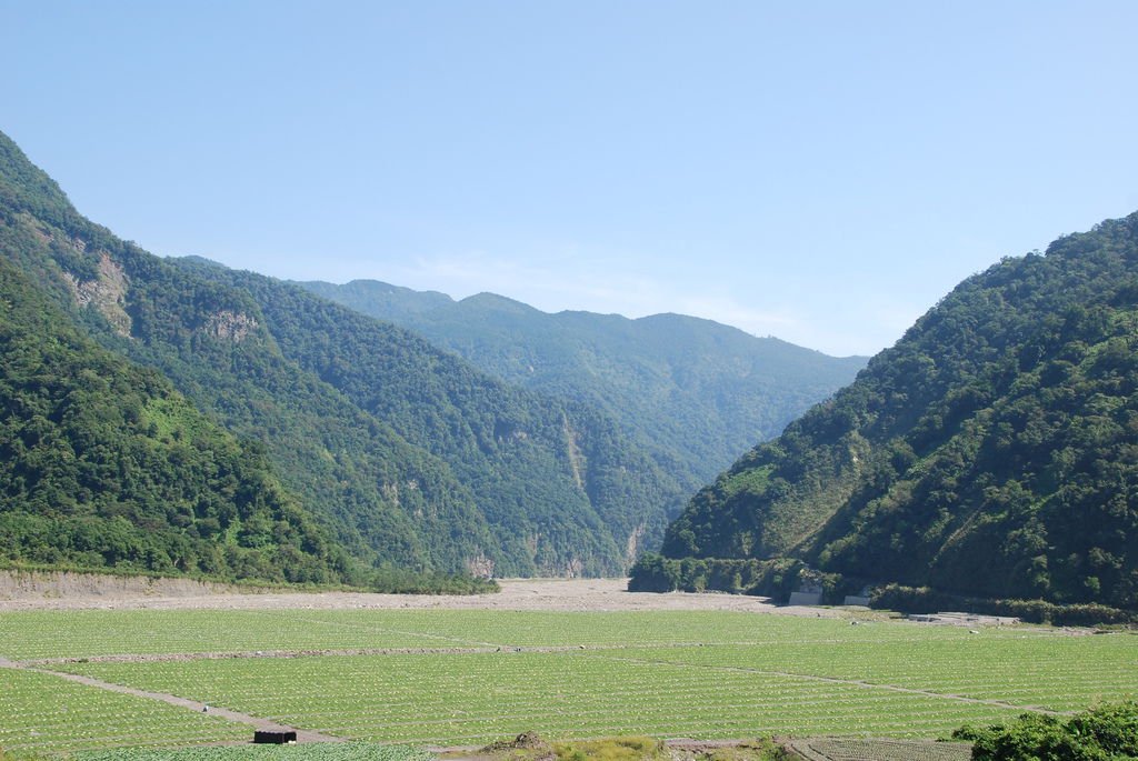 DSC_2306.JPG