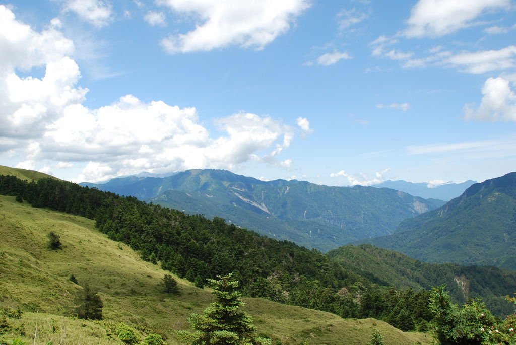 DSC_2332.JPG