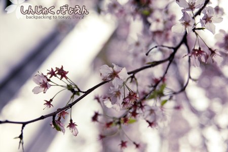IMG_0254_s.jpg