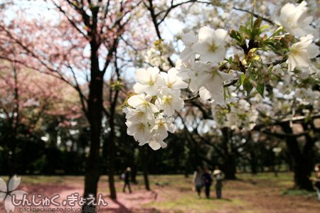 IMG_0527_s.jpg