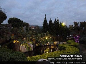 DSC02431