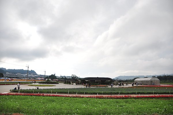DSC_0294.JPG