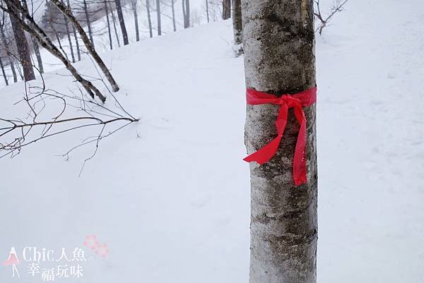 白馬村-岩岳-SNOW WALK (107)