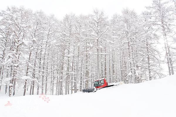 龍王滑雪場 (15)