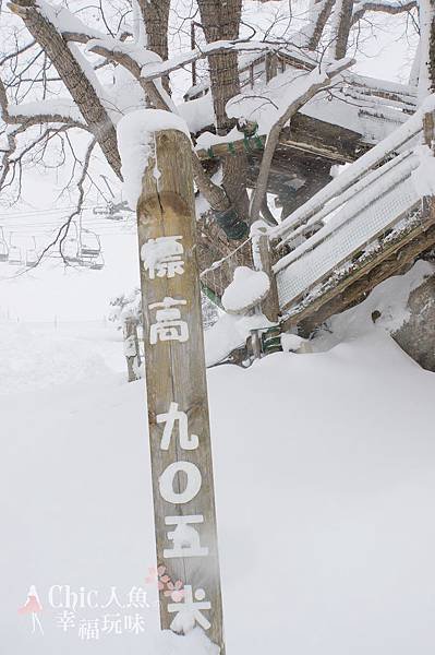 苗場王子滑雪場 (96)