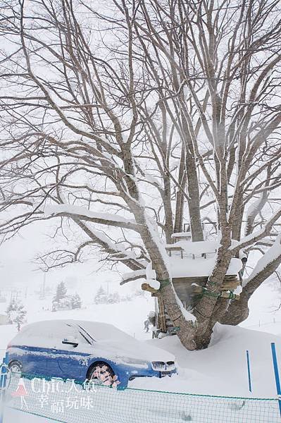 苗場王子滑雪場 (94)