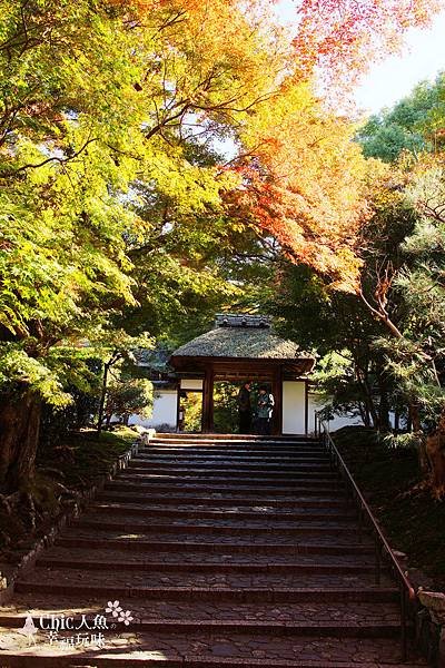 安樂寺 (44)