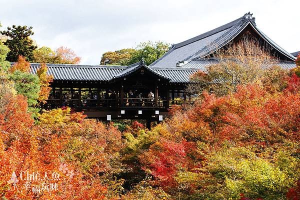 東福寺2009 (1)