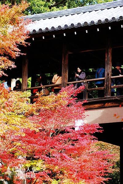 東福寺2009 (88)