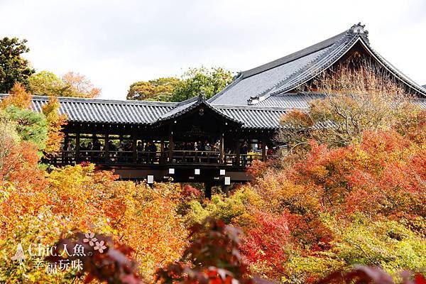 東福寺2009 (137)