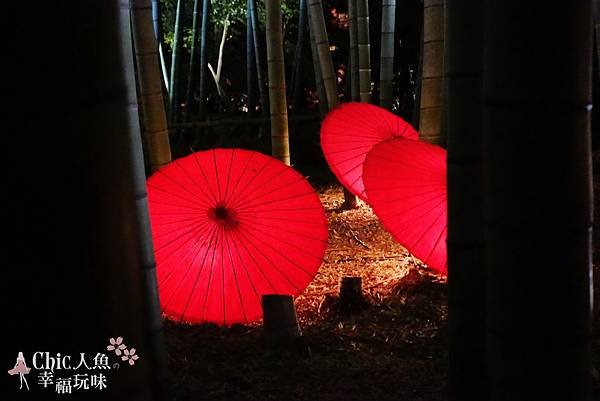 高台寺2014秋之夜間特別拜觀 (169)