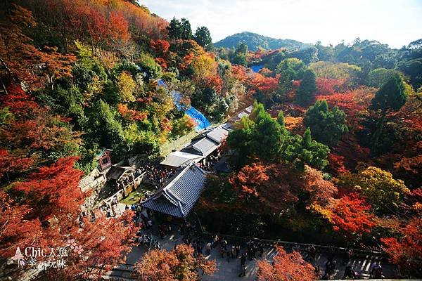 清水寺 (10)