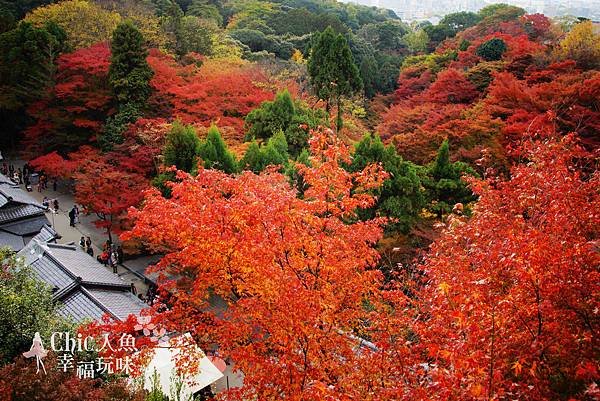 清水寺 (48)