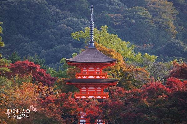 清水寺 (65)