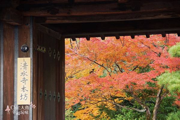 清水寺本坊 (8)