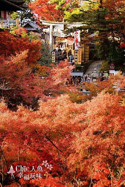 清水寺地主神社紅葉祭 (10)