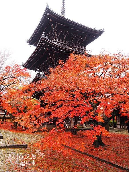 極樂寺真如堂 (3)