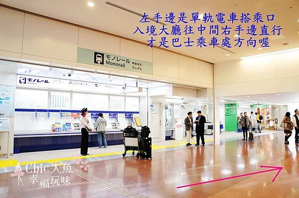 羽田空港利木津巴士2010 (19)