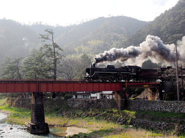 島根山口-津和野SL山口號 (133).JPG - 山口縣。SLやまぐち号