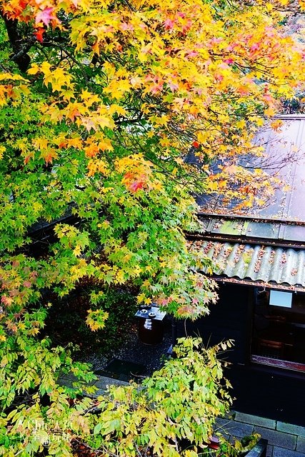 6-熊野皇大神社-見晴台元祖力餅 (7).jpg - JR東日本上信越之旅。序章篇