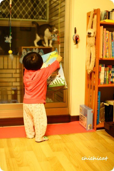 1Y1M搬運工5.jpg