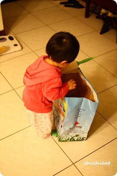 1Y1M搬運工6.jpg