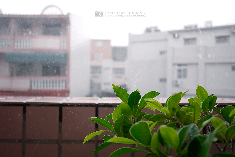 2012/7/16* Rain