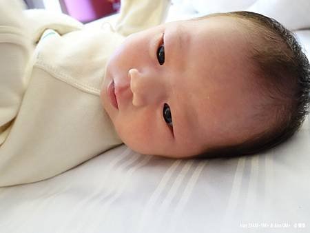 DSC00090拷貝.jpg
