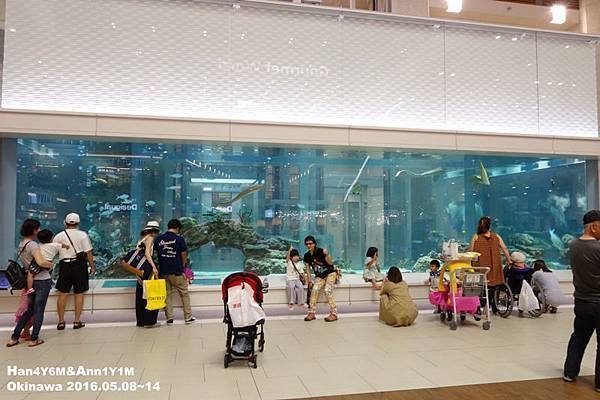 DSC00764拷貝.jpg