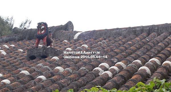 DSC00984拷貝.jpg