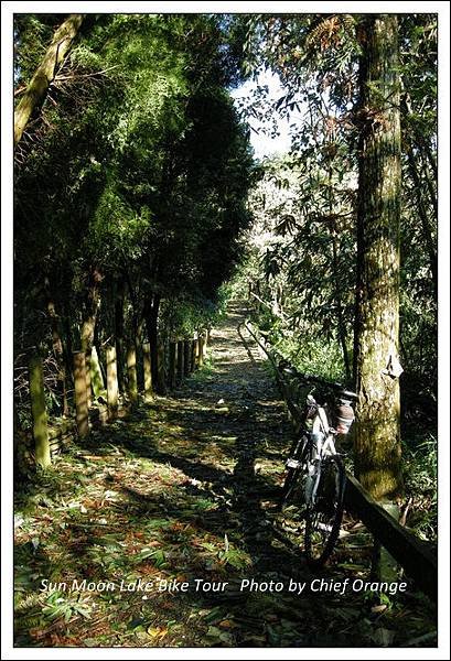 日月潭單車環湖  (37).jpg