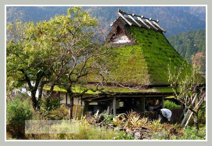 美山町  (26).JPG