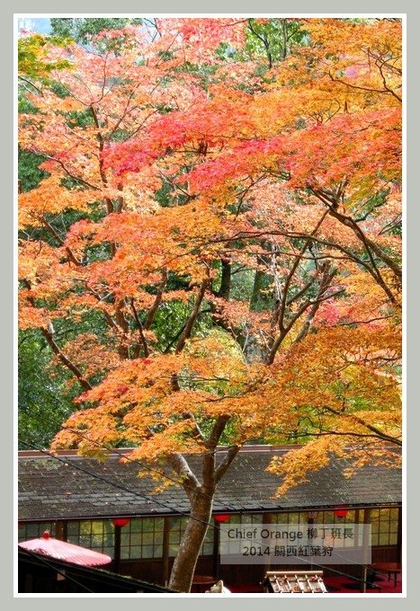 高雄山神護寺  (19).JPG
