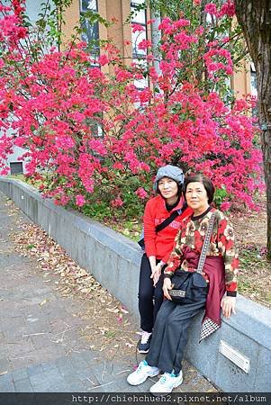 DSC_3577.JPG